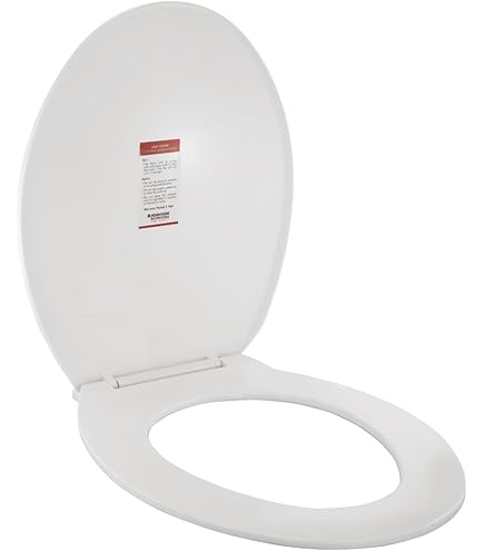 Panasonic Beauty Toilette Toilet Seat DL-RT40-WS Instantaneous